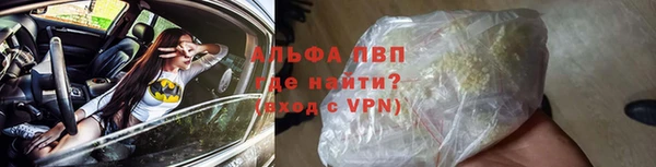 бошки Богданович