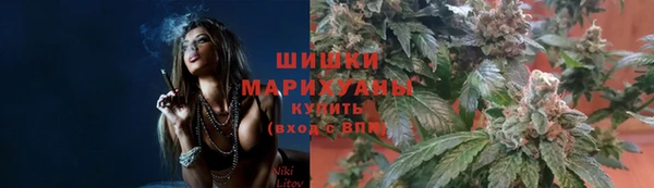 бошки Богданович