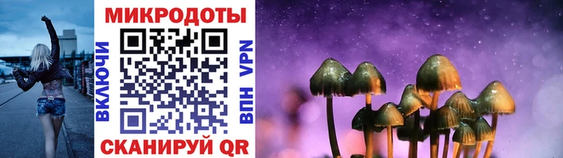 blacksprut зеркало  Томск  Псилоцибиновые грибы Psilocybine cubensis 